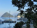 西伊豆三津浜・湯の花温泉　安田屋旅館