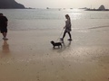 愛犬と過す海辺のお宿　ムーン・リバージュ．