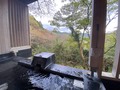 森の絶景露天風呂　熱海　森の温泉ホテル