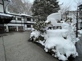 草津温泉　日新館