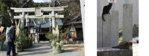 王子神社 猫神さん とお松権現 徳島県 あずきちゃん 猫 のお散歩ブログ 楽天ブログ