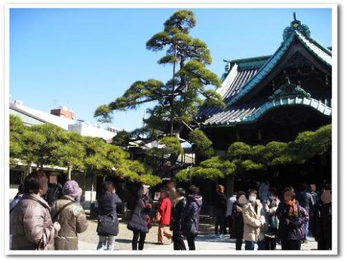 柴又帝釈天 瑞龍松 寒肥 日本酒 2013 001.jpg