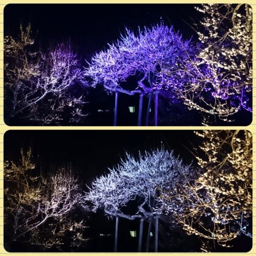 CYMERA_20170324_084232.jpg