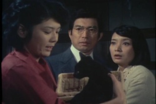PDVD_153.jpg