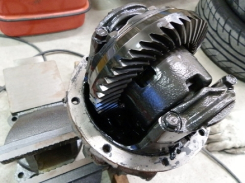 リアデフご開帳～