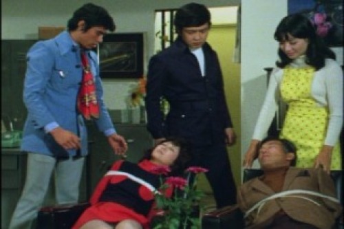 PDVD_016.jpg