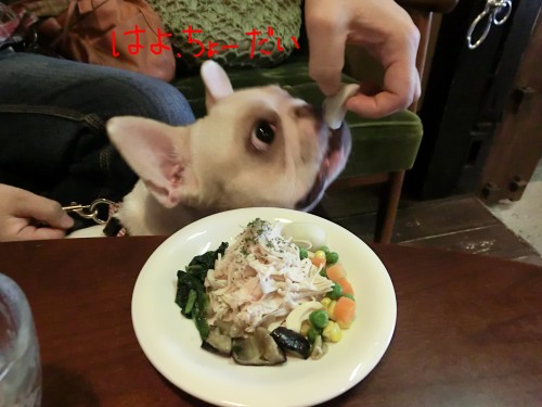 ちょうだい.jpg