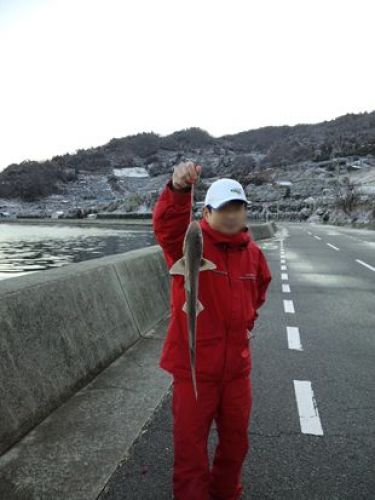 C:\fakepath\2012-1-19-2_R.JPG