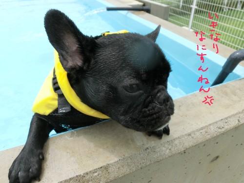 なにすんねん.jpg