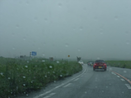 DSC09079.JPG