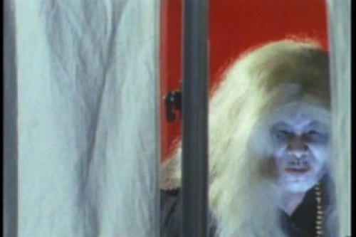 PDVD_082.jpg