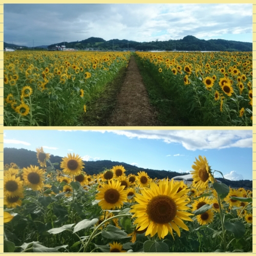 CYMERA_20160825_113743.jpg