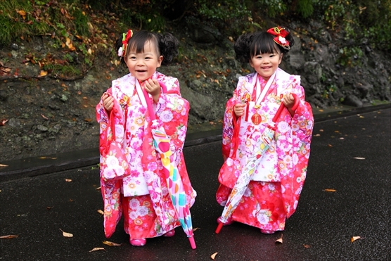 双子ちゃんの３歳七五三詣り 塩竃神社 はれのひ写真 仙台の保育士カメラマンのブログ 楽天ブログ