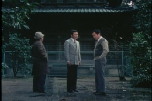 PDVD_045.jpg