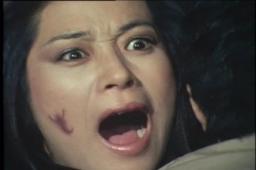 PDVD_177.jpg