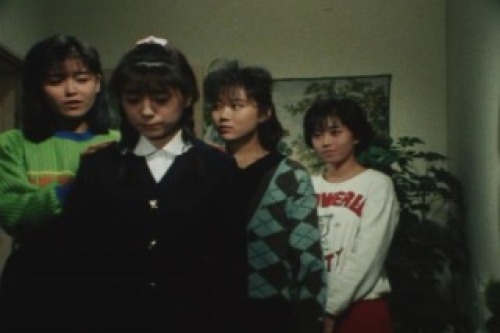 PDVD_015.jpg