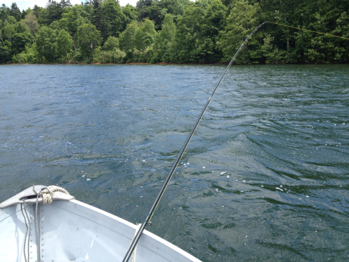 201207161852_0159_iphone.jpg