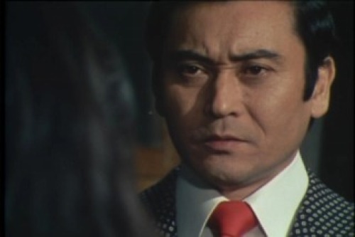 PDVD_176.jpg