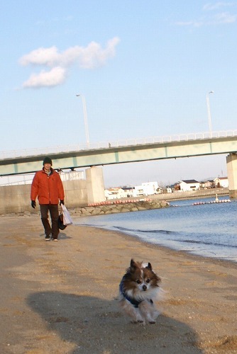DSC00043.jpg