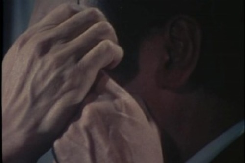 PDVD_135.jpg