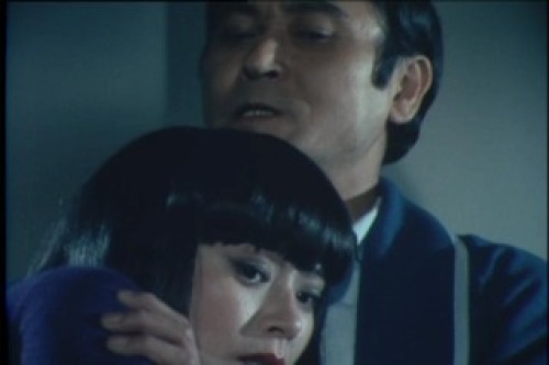 PDVD_132.jpg