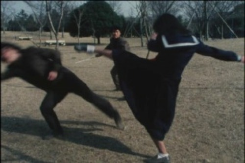 PDVD_030.jpg