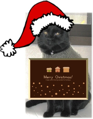 メリークリスマス.jpg
