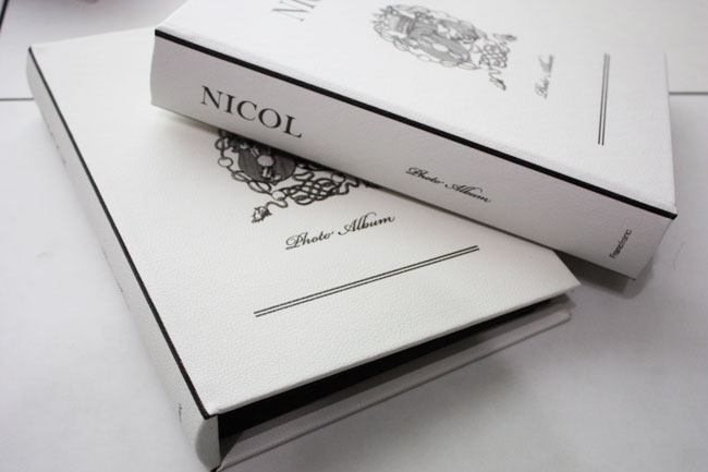 一目惚れで買った 真っ白な 洋書デザインのアルバム＆ブック型ケース