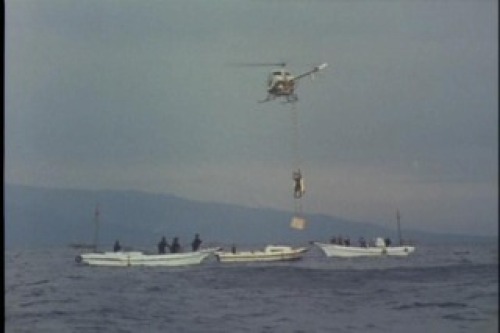 PDVD_166.jpg