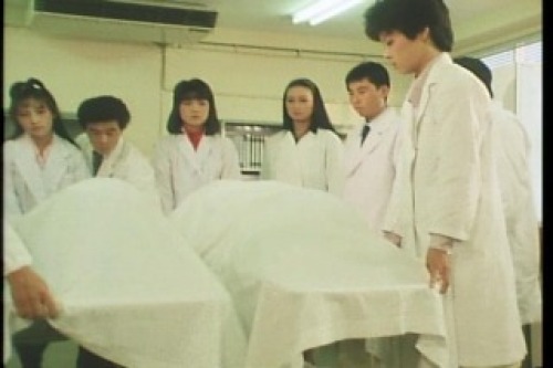 PDVD_050.jpg
