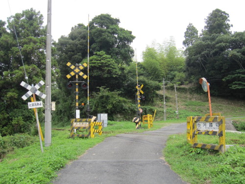 いすみ鉄道 台河踏切 上総東 新田野間 わさびくま日記 楽天ブログ