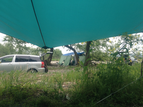 201205102055_5578_iphone.jpg