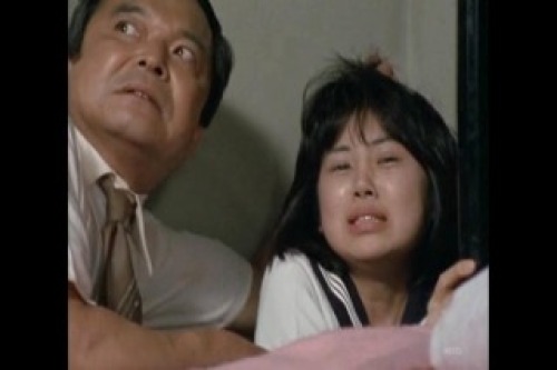 PDVD_028.jpg