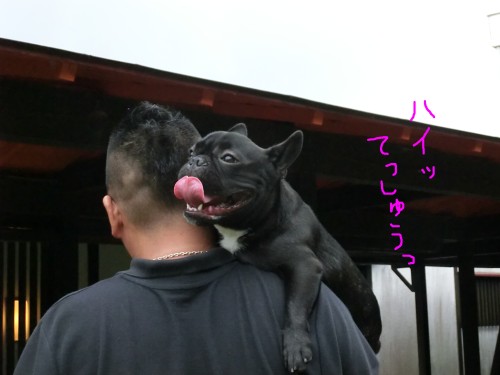 てっしゅう.jpg