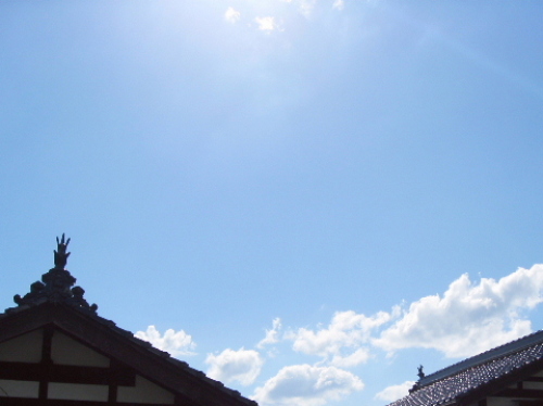 広島県北部の瓦 しゃちほこ.jpg