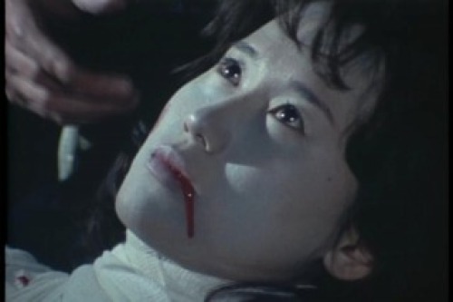 PDVD_026.jpg