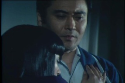 PDVD_127.jpg