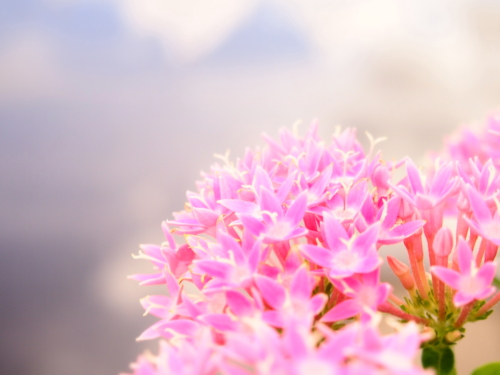 21世紀の森2012.9.18 039.jpg