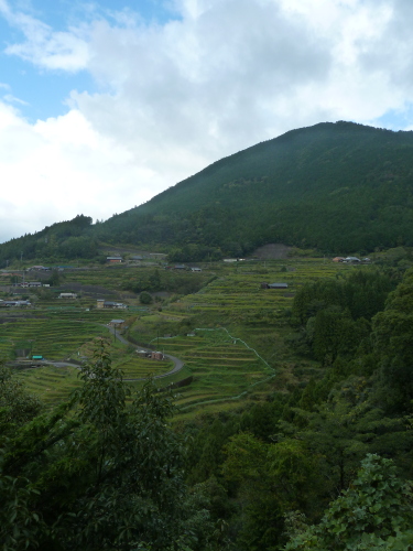 P1010453.JPG