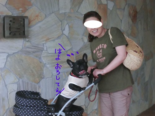 はよおろして.jpg