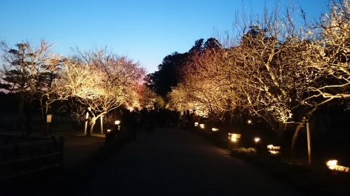 CYMERA_20170323_173639.jpg