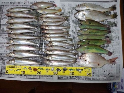 2012-7-7_R(V.2012_07_11__12_13_08).jpg