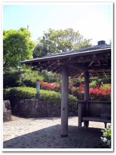東京 葛飾柴又 京成柴又駅周辺 観光 柴又公園 江戸川土手 つつじ 芝桜 こいのぼり 写真 013.jpg