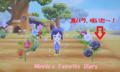 ディズニー マジックキャッスル マイ ハッピー ライフ プレイ記 6 Minnie S Favorite Diary 楽天ブログ