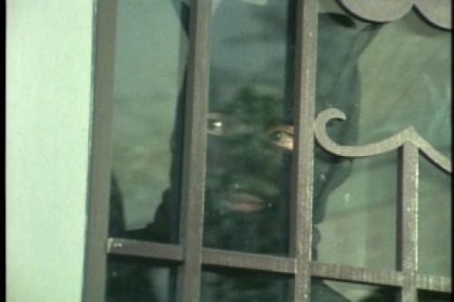 PDVD_020.jpg