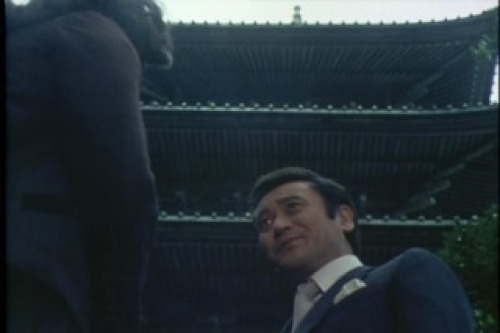 PDVD_162.jpg