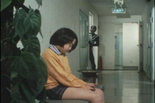 PDVD_002.jpg