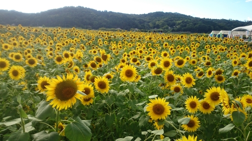 CYMERA_20160825_102847.jpg