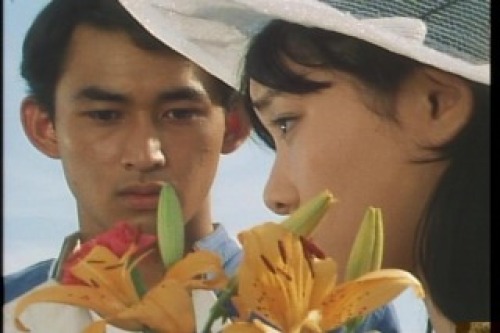 PDVD_062.jpg