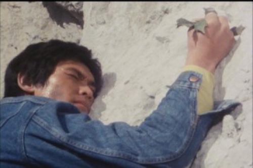 PDVD_016.jpg